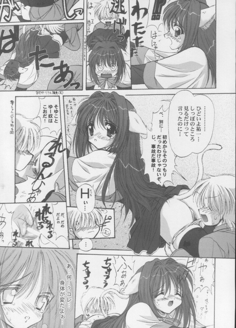 [ASYURAYA (Kushida Ashura)] Neko Neko Hot (Kanon) page 12 full