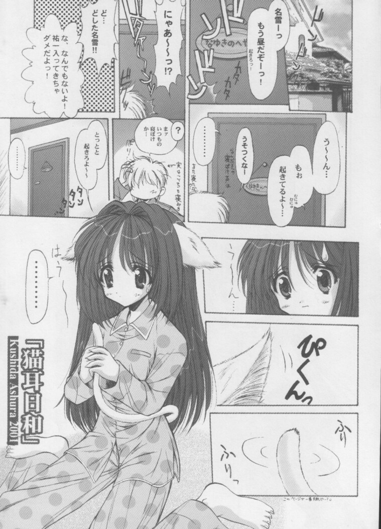 [ASYURAYA (Kushida Ashura)] Neko Neko Hot (Kanon) page 6 full