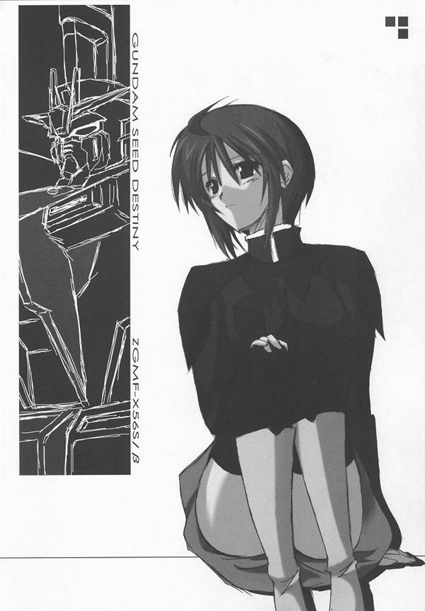 (C68) [Raiden Yashiki (Yamaura Tamaki)] Lunamaria Shugi Z | Principle of Lunamaria Z (Gundam SEED DESTINY) page 16 full