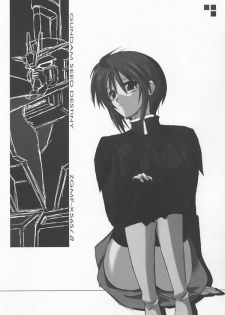 (C68) [Raiden Yashiki (Yamaura Tamaki)] Lunamaria Shugi Z | Principle of Lunamaria Z (Gundam SEED DESTINY) - page 16