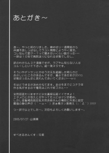 (C68) [Raiden Yashiki (Yamaura Tamaki)] Lunamaria Shugi Z | Principle of Lunamaria Z (Gundam SEED DESTINY) - page 20