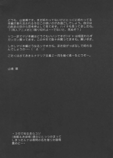 (C68) [Raiden Yashiki (Yamaura Tamaki)] Lunamaria Shugi Z | Principle of Lunamaria Z (Gundam SEED DESTINY) - page 3