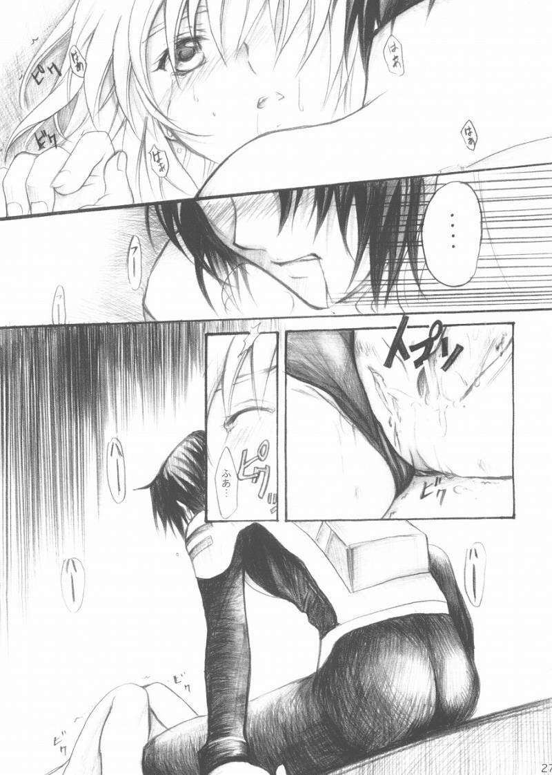 [Reongumi (Kaneda Reon)] Harete Koyoi wa. (Gundam SEED) page 25 full