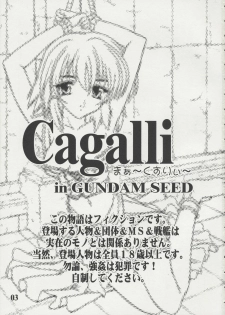 [Studio Q (Natsuka Q-Ya)] Cagalli Mark Three | Cagalli Ma Ku Suri (Gundam Seed) - page 2