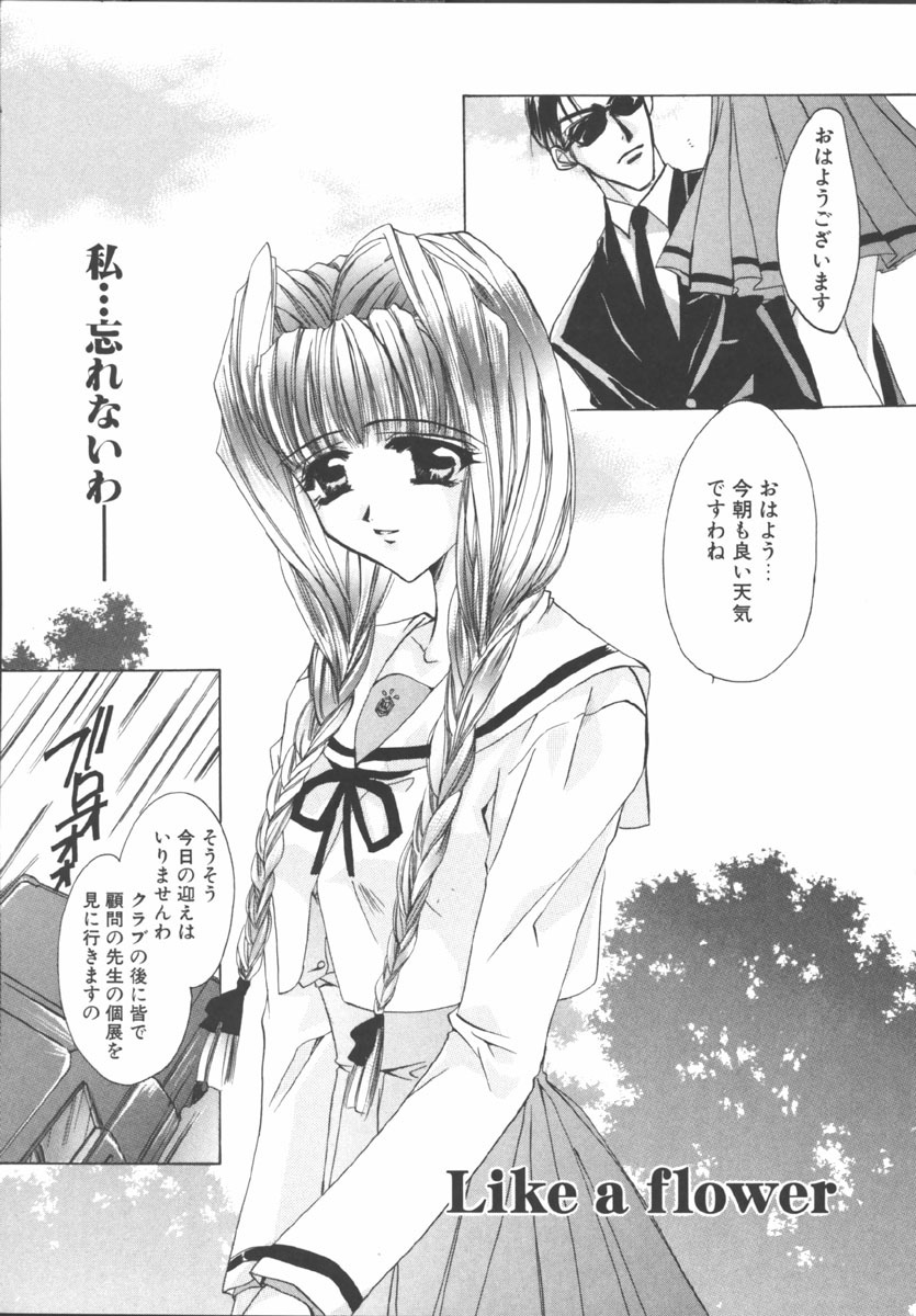 [Sakurai Aya] My Sweet Plum page 109 full