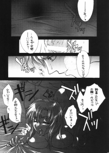 [L.S.P.] FLAVOR 02 (Kidou Senshi Gundam SEED) - page 12