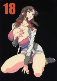 (C64) [studio C-TAKE (Miura Takehiro)] GUNYOU MIKAN vol.18 (Mobile Suit Gundam SEED) - page 1