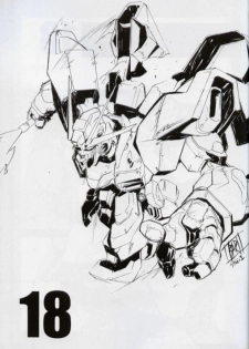 (C64) [studio C-TAKE (Miura Takehiro)] GUNYOU MIKAN vol.18 (Mobile Suit Gundam SEED) - page 2