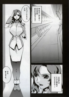 (C64) [studio C-TAKE (Miura Takehiro)] GUNYOU MIKAN vol.18 (Mobile Suit Gundam SEED) - page 5
