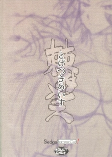 (SC32) [SledgehammerOut! (Yoshijima Ataru)] Togetsuki Mace (Final Fantasy XII) - page 18