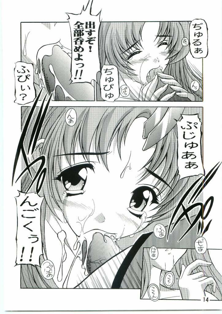 [Studio Q (Natsuka Q-Ya)] Lacus Mark Two / Lacus ma Kutou (Gundam Seed) page 13 full