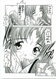 [Studio Q (Natsuka Q-Ya)] Lacus Mark Two / Lacus ma Kutou (Gundam Seed) - page 13