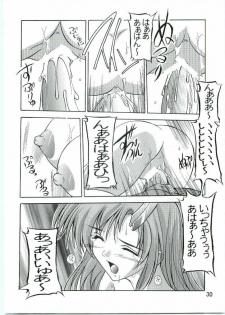 [Studio Q (Natsuka Q-Ya)] Lacus Mark Two / Lacus ma Kutou (Gundam Seed) - page 29