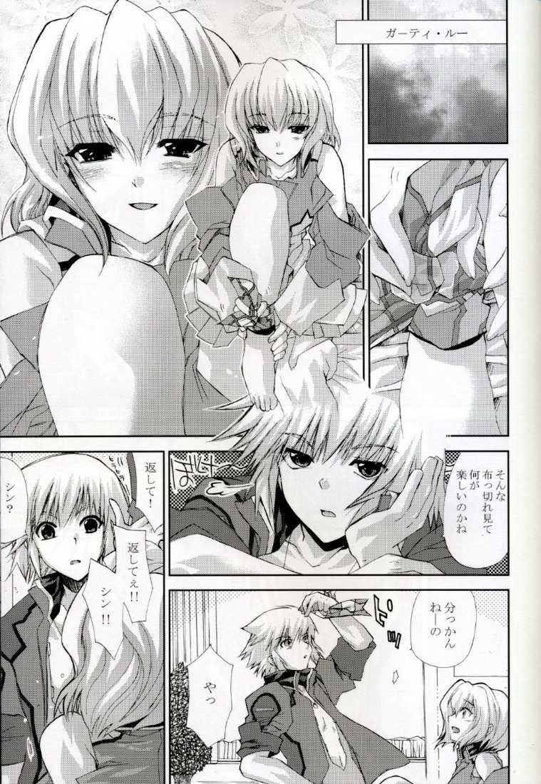 (CR37) [FANTASY WIND (Shinano Yura)] L-S (Kidou Senshi Gundam Seed Destiny) page 4 full