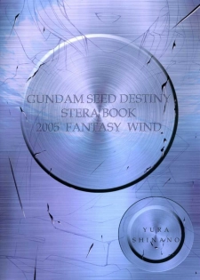 (CR37) [FANTASY WIND (Shinano Yura)] L-S (Kidou Senshi Gundam Seed Destiny) - page 18