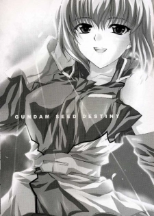 (CR37) [FANTASY WIND (Shinano Yura)] L-S (Kidou Senshi Gundam Seed Destiny) - page 2