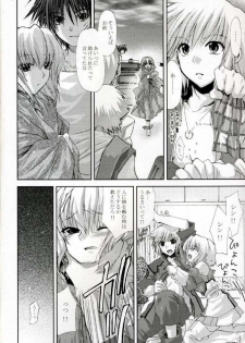 (CR37) [FANTASY WIND (Shinano Yura)] L-S (Kidou Senshi Gundam Seed Destiny) - page 5