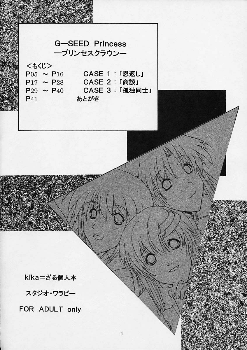 (C64) [Studio Wallaby (Kika = Zaru)] G-SEED Princes (Kidou Senshi Gundam SEED) page 3 full