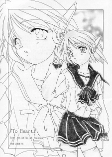 [M-10 (Kurokawa Mio)] HARD WAY (ToHeart) - page 2