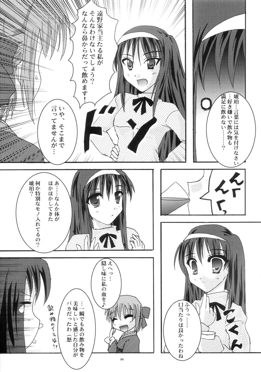 [A' (bebe)] Shinnen Fuyutsuki (Tsukihime) page 29 full