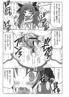 (C76) [Abarenbow Tengu (Izumi Yuujiro)] Kotori 4 (Fate/stay night) - page 22