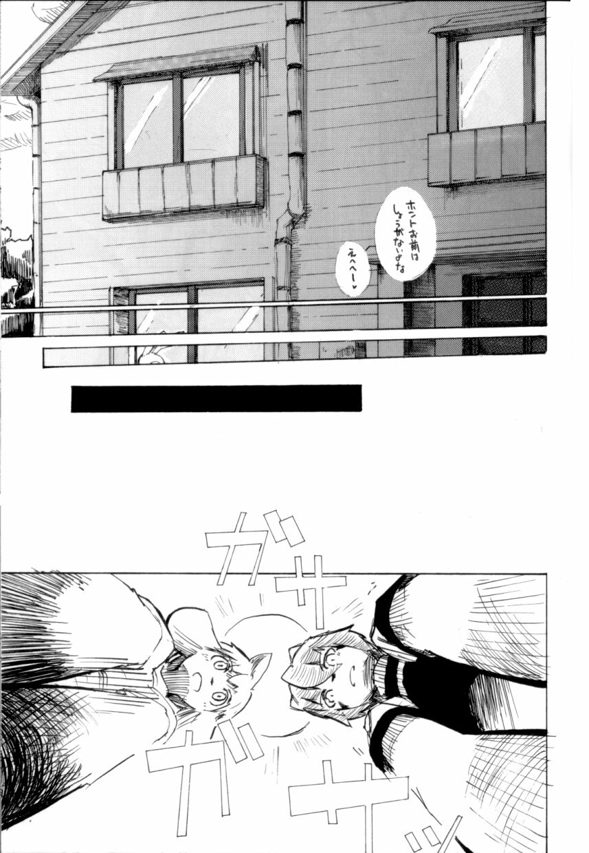 (C68) [Harugoya (Harusuke)] Harubon [Incomplete] page 13 full