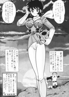 (C64) [Kantou Usagi Gumi (Kamitou Masaki)] Denpa Ningen Tackle-chan Special 2-han (Kamen Rider Stronger) - page 33