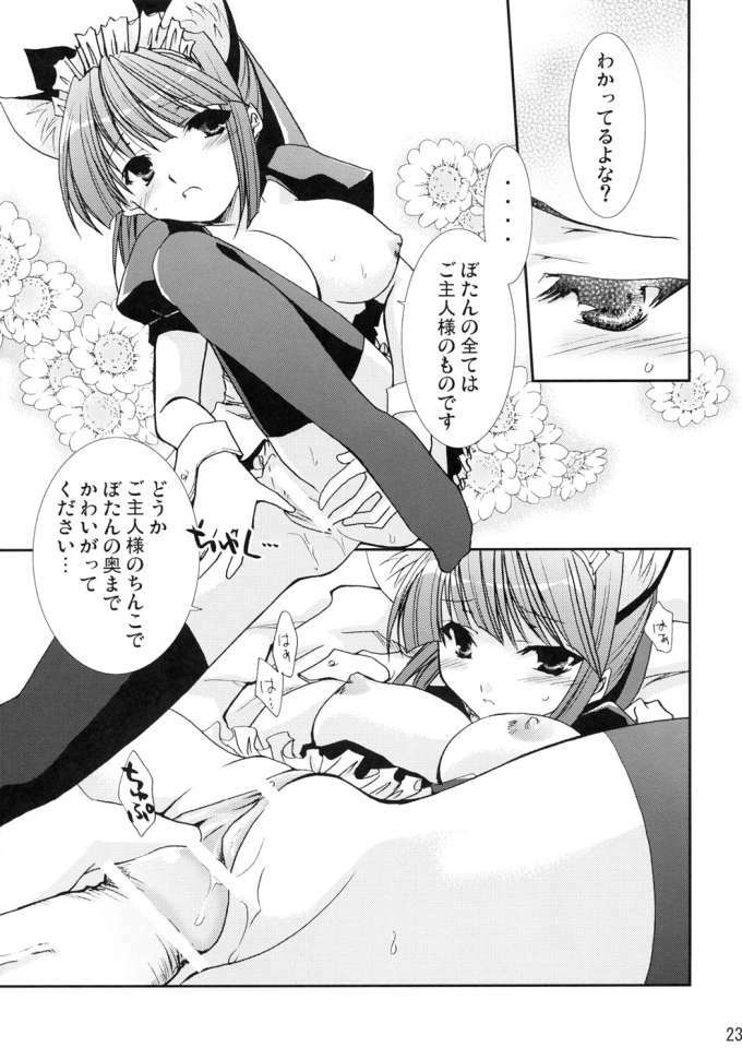 (C69) [CHAGASHI SAIBAN (Yamabuki Mook)] Neko ni Naritai (Pastel Chime Continue) page 22 full