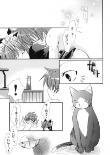 (C69) [CHAGASHI SAIBAN (Yamabuki Mook)] Neko ni Naritai (Pastel Chime Continue) - page 28