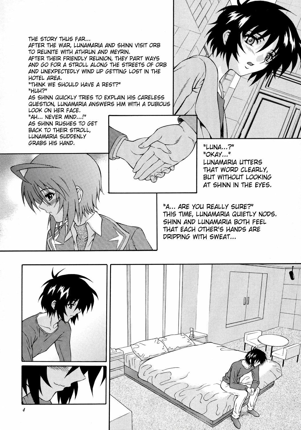 (SC34) [GUST (Harukaze Soyogu)] Burning!! 4 (Mobile Suit Gundam SEED DESTINY) [English] [SaHa] page 3 full