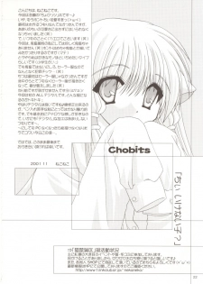 (Odekake Live in Sapporo Tsudome 10) [Neko Kinryouku (NekoNeko)] Chobitto LOVE (Chobits) - page 21