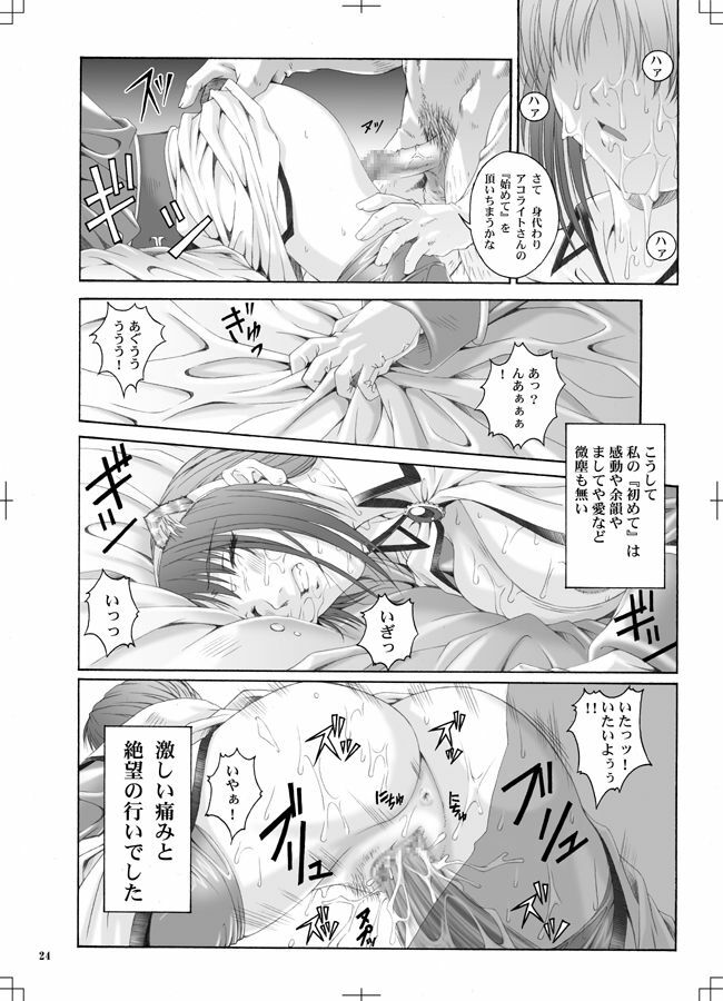 [Ruki Ruki Exiss] Ragnaburi (Ragnarok Online + 1 Fullmetal Alchemist Winry omake picture) page 23 full