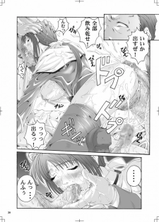 [Ruki Ruki Exiss] Ragnaburi (Ragnarok Online + 1 Fullmetal Alchemist Winry omake picture) - page 29