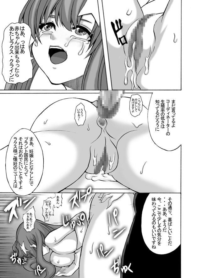 [Shinyanchi] Follower (Gundam Seed Destiny) page 24 full