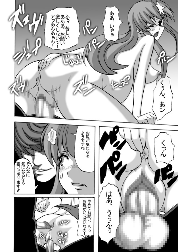 [Shinyanchi] Follower (Gundam Seed Destiny) page 31 full