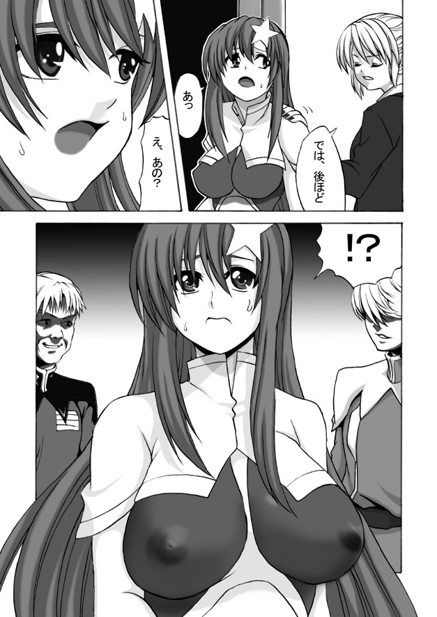 [Shinyanchi] Follower (Gundam Seed Destiny) page 6 full