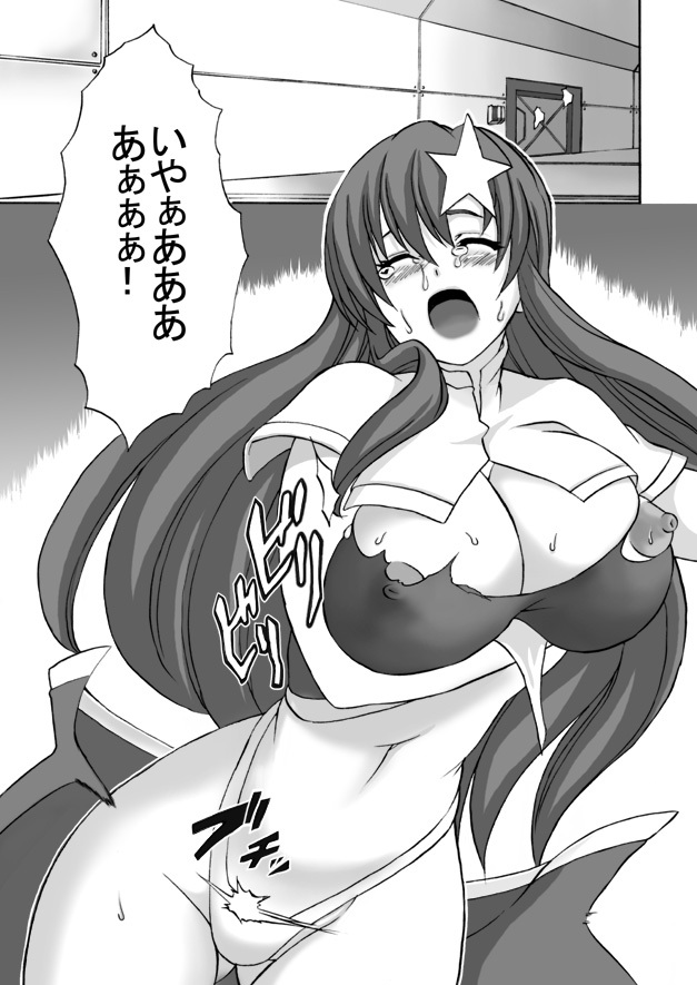 [Shinyanchi] Follower (Gundam Seed Destiny) page 8 full