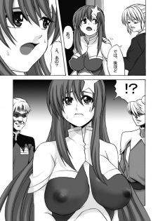 [Shinyanchi] Follower (Gundam Seed Destiny) - page 6