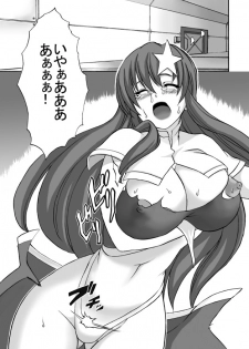 [Shinyanchi] Follower (Gundam Seed Destiny) - page 8