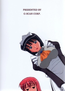 (C76) [G-SCAN CORP. (Satou Chagashi)] Le beau maitre 6 (Zero no Tsukaima) - page 30