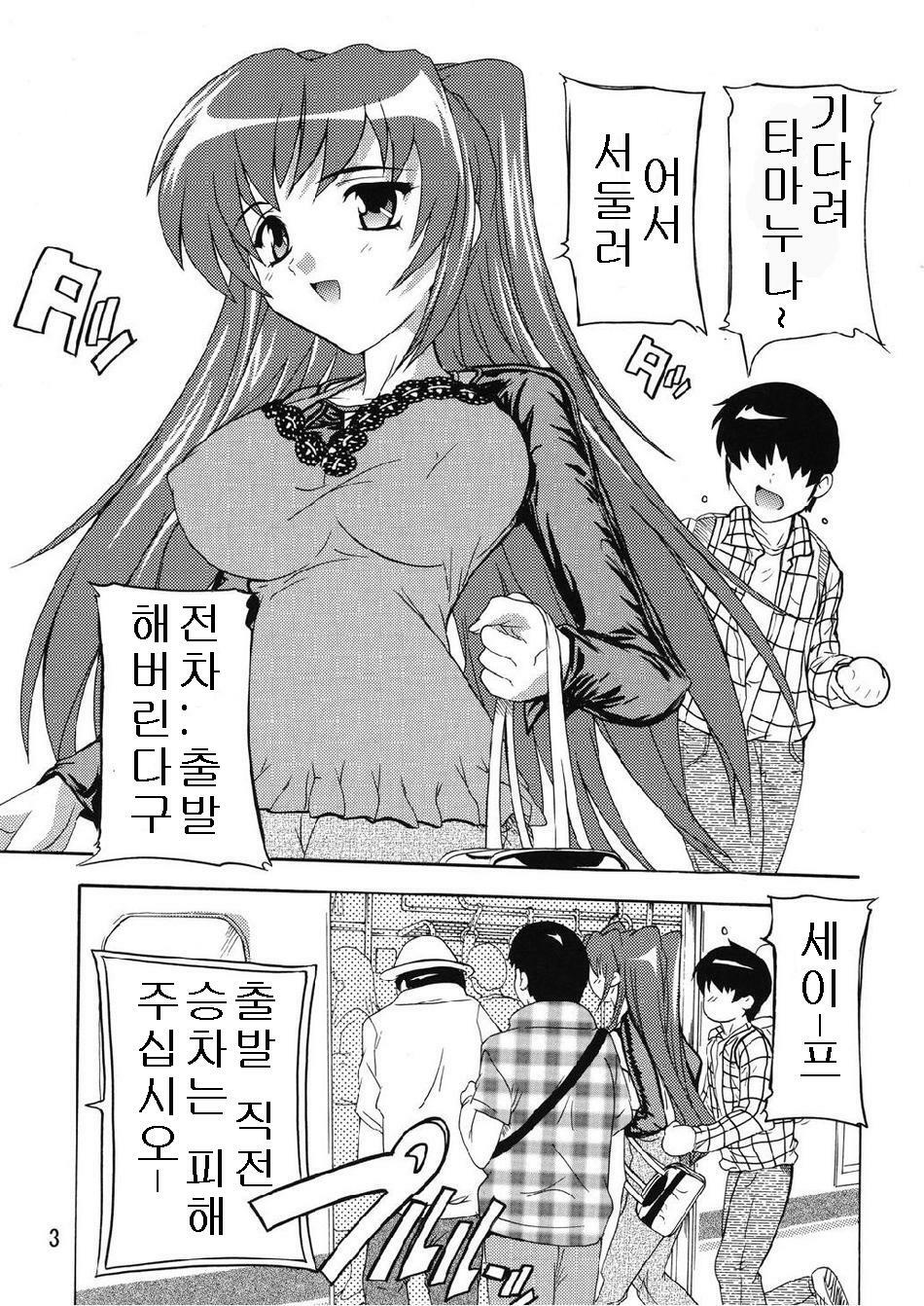 (C74) [Studio Q (Natsuka Q-Ya)] Chikan Otoko R Tama-nee Hen (ToHeart2) [Korean] page 3 full