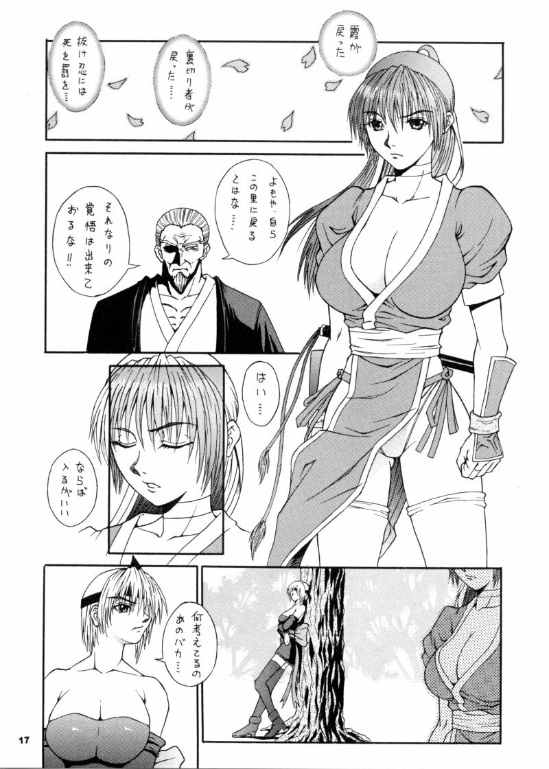 (CR28) [MANGANA (Doluta, Nishimo)] Nyan Nyan KUNOICHI (Dead or Alive, King of Fighters) page 16 full