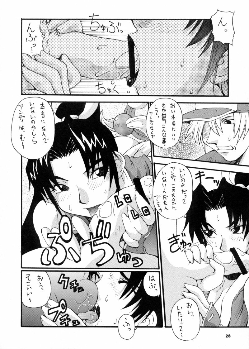 (CR28) [MANGANA (Doluta, Nishimo)] Nyan Nyan KUNOICHI (Dead or Alive, King of Fighters) page 27 full