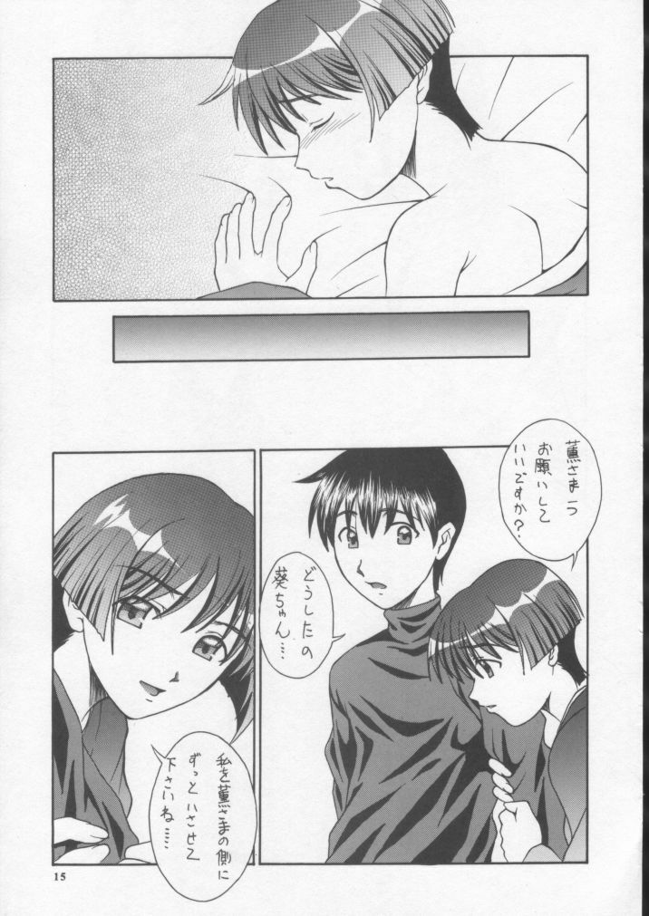 (C62) [BREEZE (Haioku)] R25 Vol.7 Aizen (Ai Yori Aoshi) page 14 full