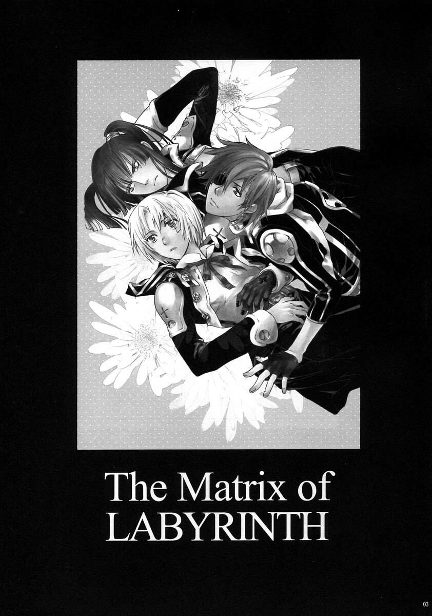 [Mao Ryoka by Hydra] The Matrix of Labirynth [LavixAllen][D.Gray-Man][yaoi] page 2 full