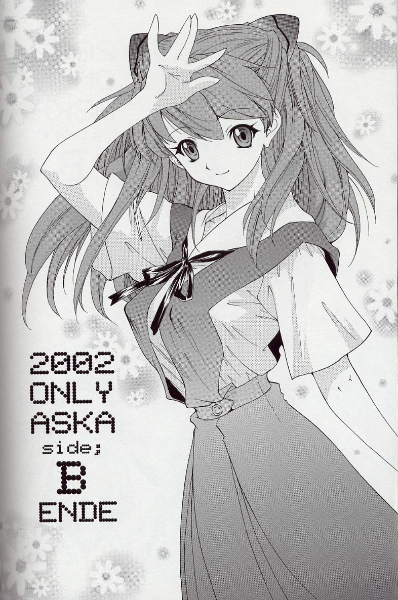 (C63) [Chimatsuriya Honpo (Asanagi Aoi)] 2002 Only Aska side B (Neon Genesis Evangelion) page 47 full