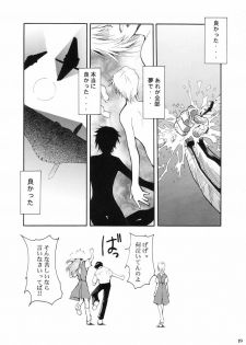 (C66) [Studio Kimigabuchi (Kimimaru)] RE-TAKE (Neon Genesis Evangelion) - page 21