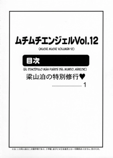 [Muchi Muchi 7 (Terada Tsugeo, Hikami Dan)] Muchi Muchi Angel Vol. 12 (Shijou Saikyou no Deshi Kenichi) [Spanish] [BloodHunter] - page 2
