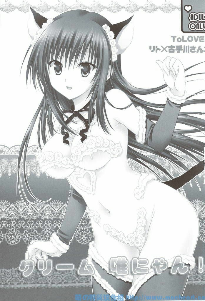 (C76) [USAUSA (Akira)] Cream Yui Nyan! (To LOVE-Ru) [Chinese] [萌の羽翼汉化组] page 2 full