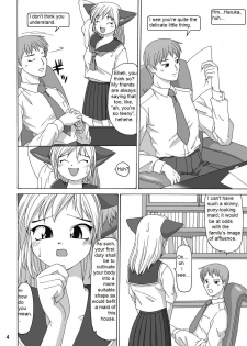 (C64) [Aa, Warera Katou Hayabusa Sentoutai (Katou)] MaruMaru [English] - page 4